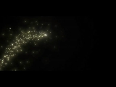 Niestandardowy rozmiar Artystów Płótno Płótno Płótno Płótno Płótno Płótno