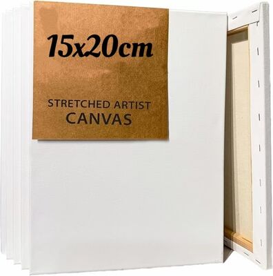 Custom Size 280g Cotton Stretched Canvas Board Triple Primed Gesso for Artist Painting