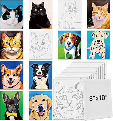 3mm Thickness Pre Drawn Outline Sketched Canvas For Kid Beginners Student Adults