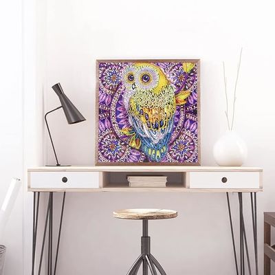 Owl 5D DIY Diamond Art Kits Full Drill Diamond Painting Set For Relaxation Gem Arts